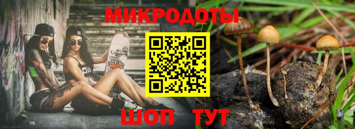 Галлюциногенные грибы GOLDEN TEACHER  цена   Саяногорск  Вход с VPN 